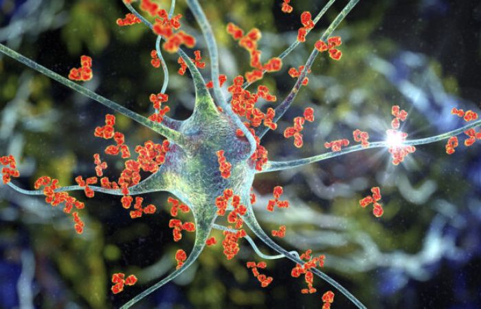 Das Mikrobiom: undurchdringlich?