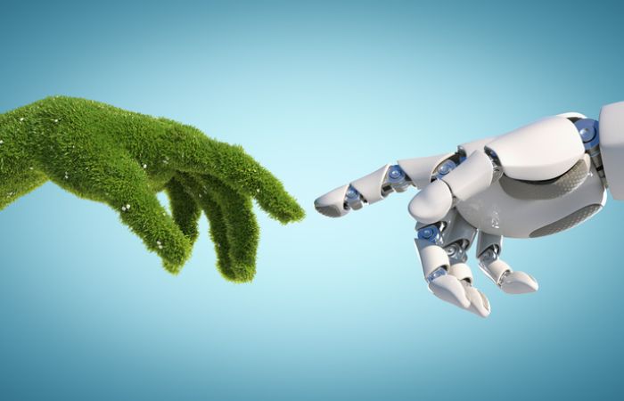 Natur und Technik: Nachhaltigkeit braucht beides